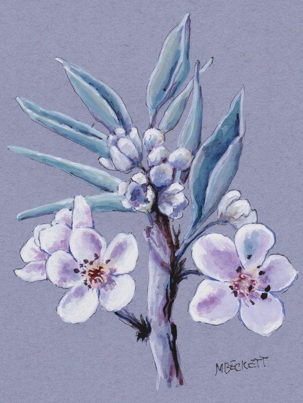 WDE May 15 - Pear Blossoms in Gouache - WetCanvas: Online Living for Artists