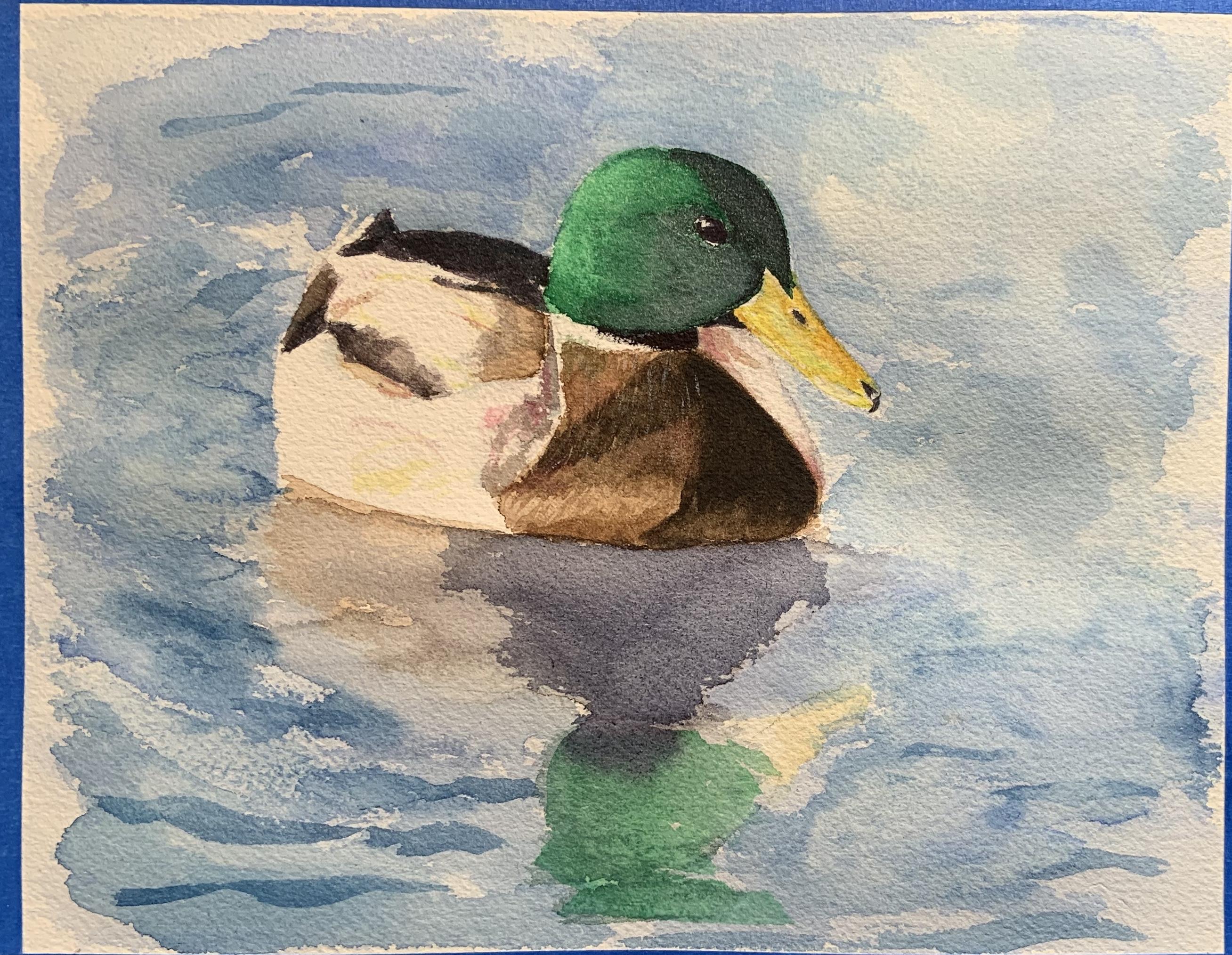 Mallard Duck 2.0 WetCanvas Online Living for Artists