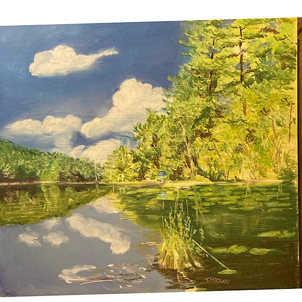 Salt Fork Lake Ohio WetCanvas Online Living for Artists