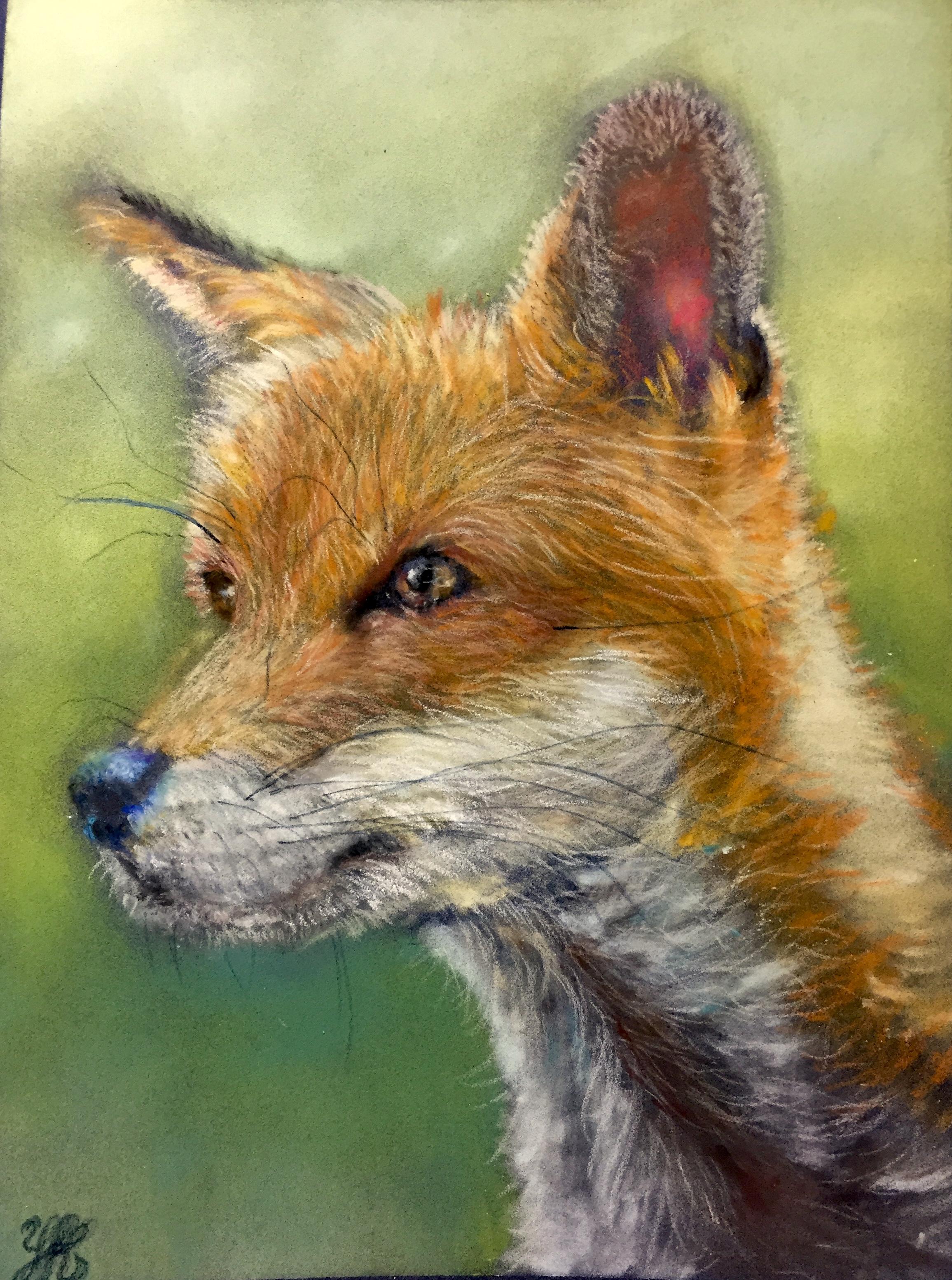 Learning to use pastels (wildlife art) - WetCanvas: Online Living for ...