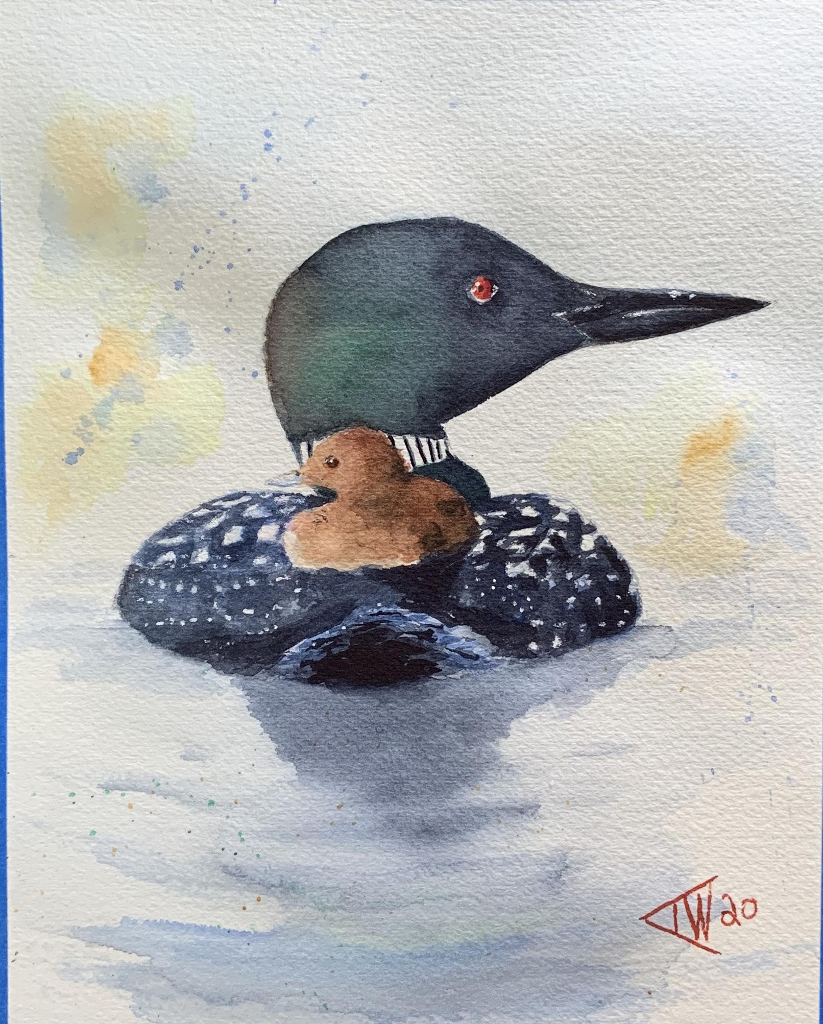 Painting Loons - WetCanvas: Online Living for Artists