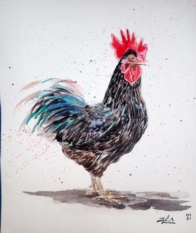 Brusho Rooster - WetCanvas: Online Living for Artists