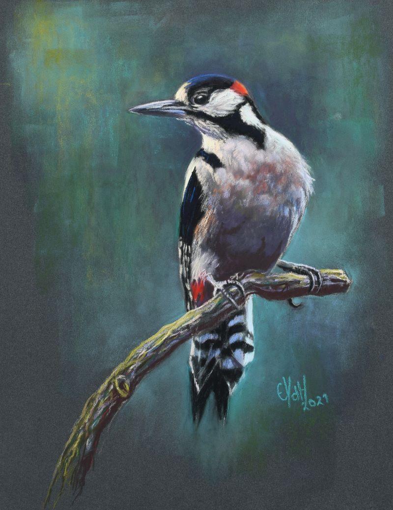Woodpeckers - WetCanvas: Online Living for Artists