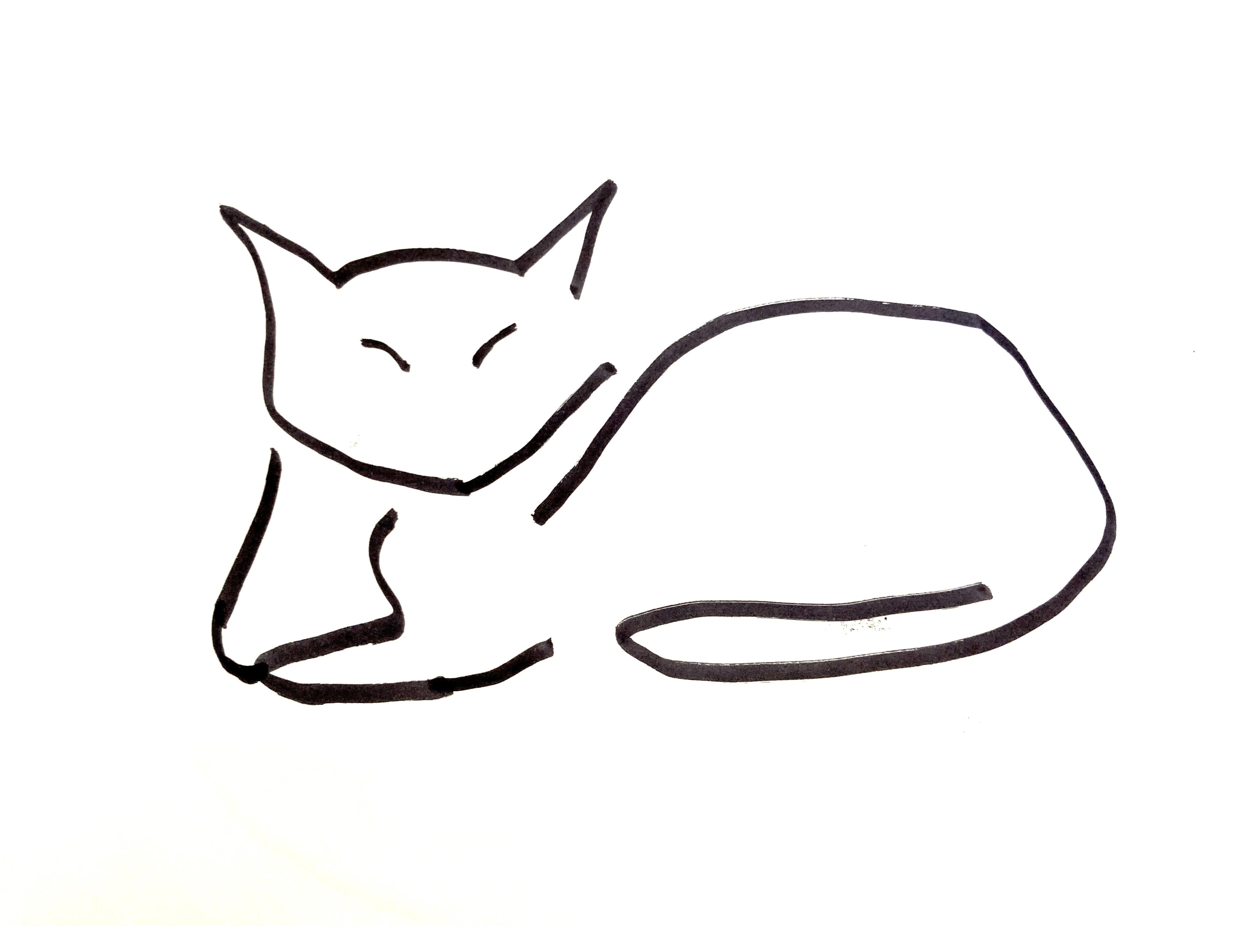 picasso cat sketch